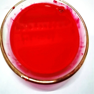 Colorants for Untreated Seeds Pigment Dispersion Pigement Red RHM For FS/SC