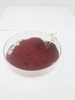 Red 8124 Bluish Red Good Light Resistance Excellent Tinting Strength Competitive Quality for Plastic 