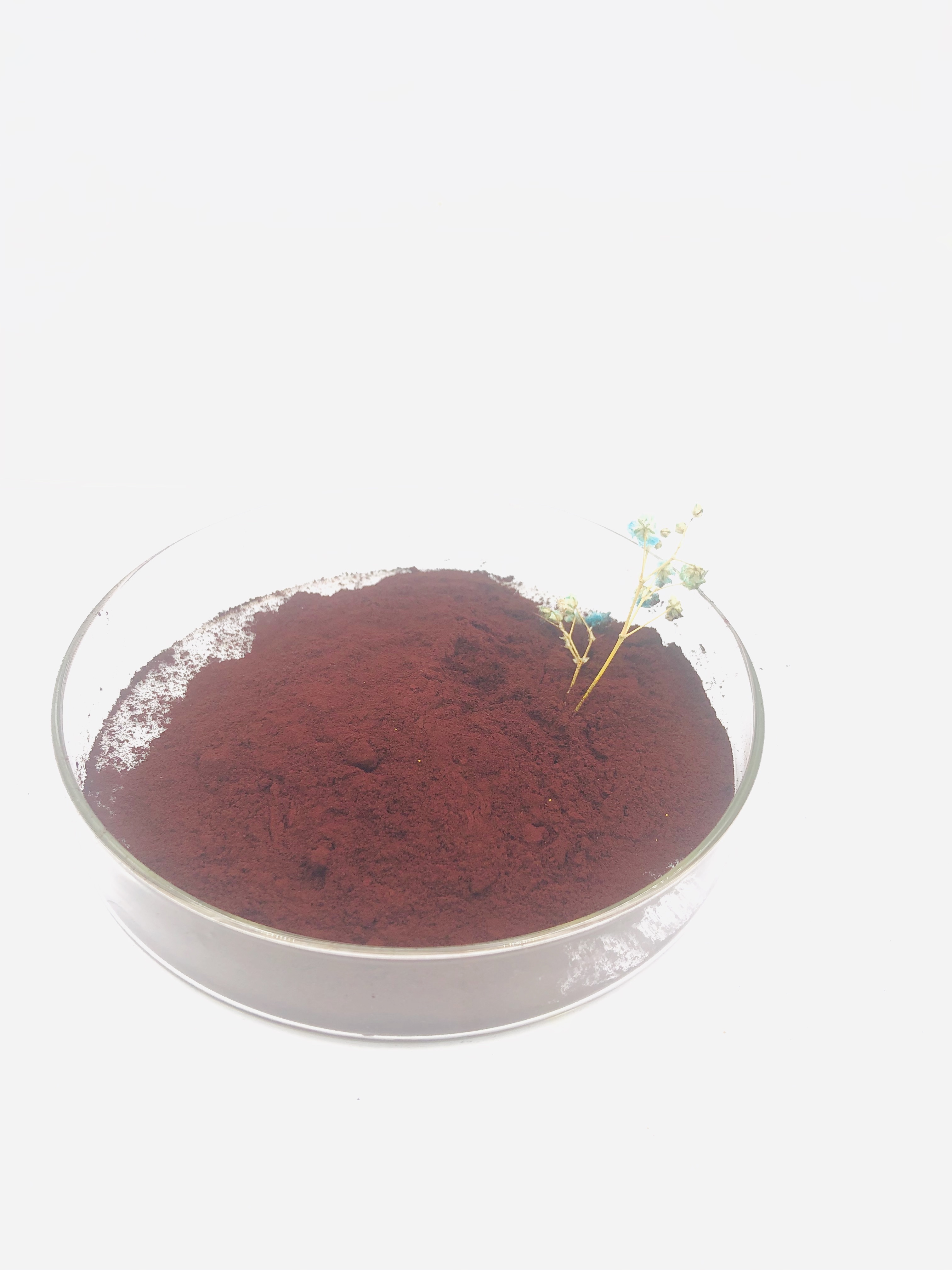 Violet Pigment 6619 Good Acid Resistance And Stable Supply Low Ash Content for Powder Coating 