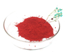 Pigment Red 21 Wholesale Bulk Red Color Powder Pigment For Plastic Coating And Paints